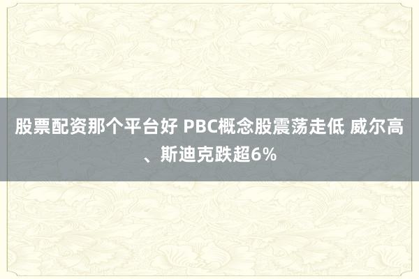 股票配资那个平台好 PBC概念股震荡走低 威尔高、斯迪克跌超6%